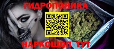 прущие крисы Бийск