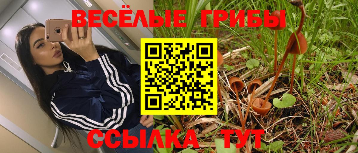 Ипатово  Галлюциногенные грибы GOLDEN TEACHER  Вход с VPN 